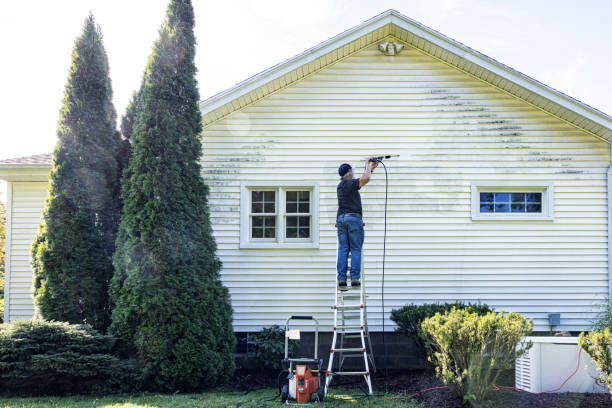 Best Residential Pressure Washing Services  in Sachse, TX